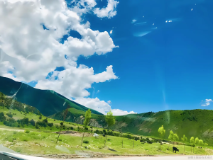 Vue3学习(二十一)- 文档管理页面布局修改-牛翰网