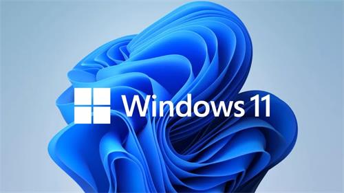 WINDOWS10,WINDOWS11系统永久激活工具-牛翰网