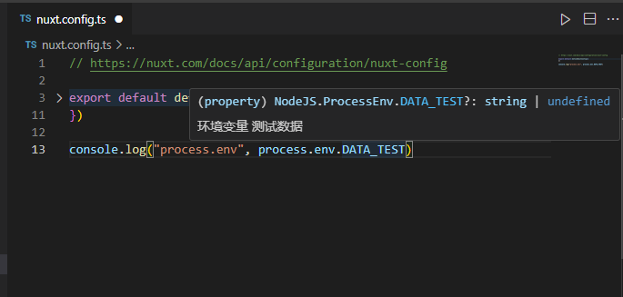 nuxt3项目自定义环境变量，typescript全局提示-牛翰网