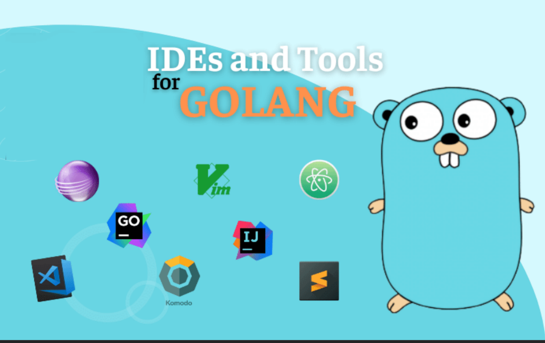 Go开发IDE全览：GoLand vs VSCode全面解析-牛翰网