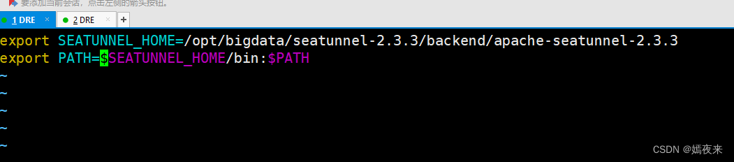 图片[1]-Apache SeaTunnel 及 Web 功能部署指南(小白版)-牛翰网