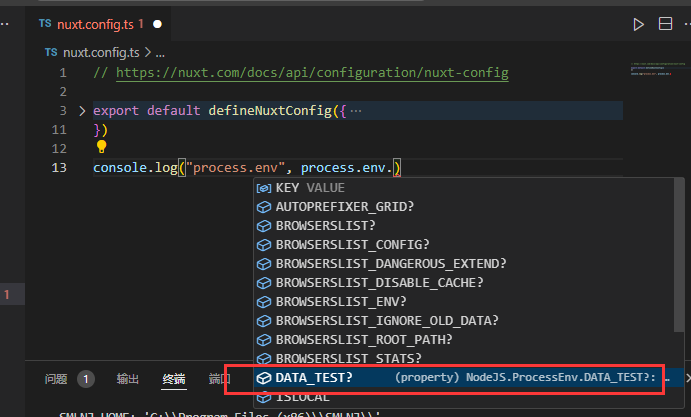 nuxt3项目自定义环境变量，typescript全局提示-牛翰网