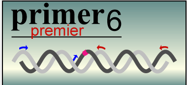 Primer Premier 6安装使用教程-牛翰网