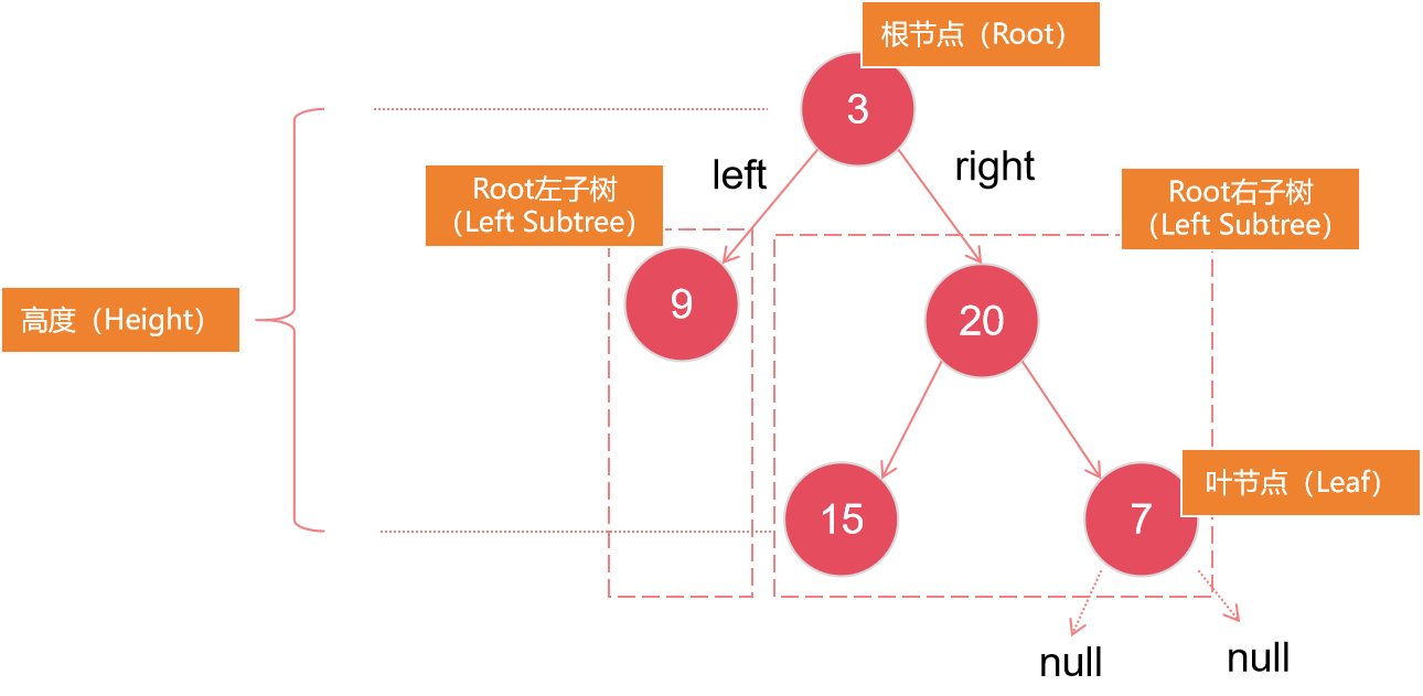 数据结构与算法 | 二叉树(Binary Tree)-牛翰网