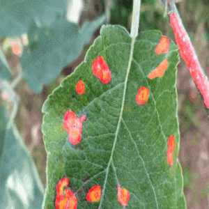 51c视觉~合集18-牛翰网