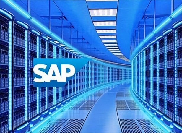 做SAP freelancer 的几个注意事项-牛翰网