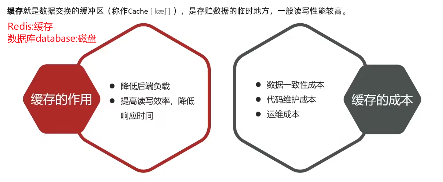 Springboot实战——黑马点评之缓存-牛翰网