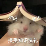 收不到异步通知的原因-牛翰网