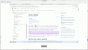 .NET 窗口/屏幕录制-牛翰网