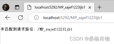 如何使用ASP.NET MiniAPI 调试未匹配请求路径-牛翰网