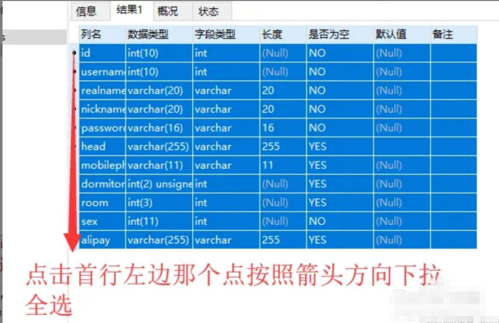 Navicat如何导出Excel格式的表结构-牛翰网