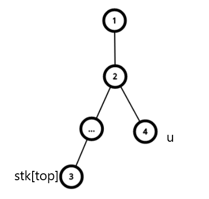 关于虚树-牛翰网