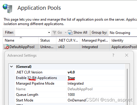 .NET8.0发布到IIS的实现步骤-牛翰网