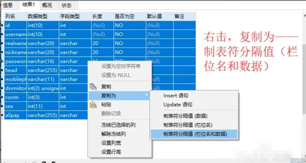 Navicat如何导出Excel格式的表结构-牛翰网