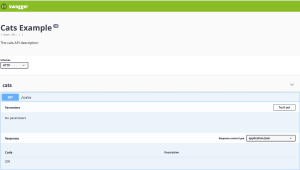Nest框架中集成使用Swagger示例说明-牛翰网
