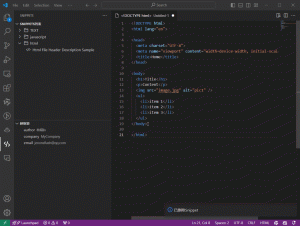 在VS Code中使用Snippet Craft扩展提高编码效率的过程详解-牛翰网
