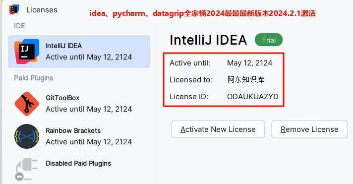 idea全家桶2024新特性以及idea2024.2.x最最最新版本安装、activate-牛翰网