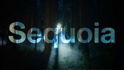 macOS Sequoia 15 发布，iPhone 镜像、密码应用程序、窗口平铺更新等带来全新体验-后端开发牛翰社区-编程开发-牛翰网