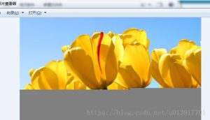 PHP传输base64数据不完整的解决方法-牛翰网