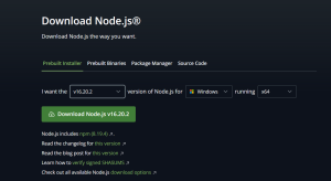 Node.jsv16 版本安装的实现-牛翰网