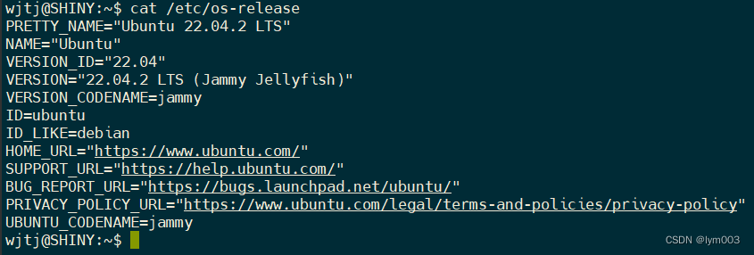ASP.NET Core设置URLs的方法汇总(完美解决.NET 6项目局域网IP地址远程无法访问的问题)-牛翰网
