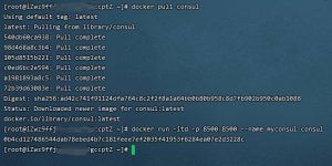 .Net Core服务治理Consul健康检查-牛翰网