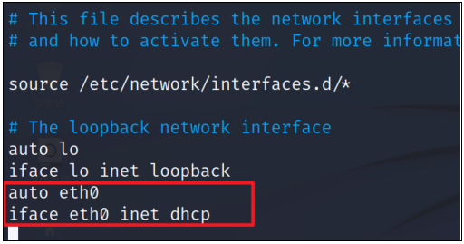 Kali 网络配置及常见问题和解决方案-牛翰网