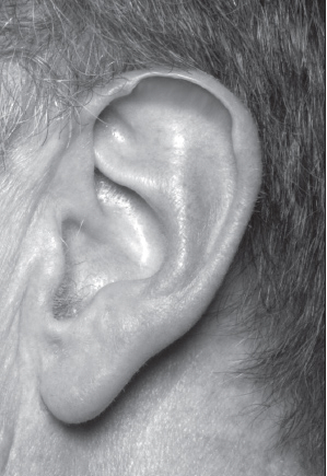 面相快速入门教程3面部与年龄-牛翰网