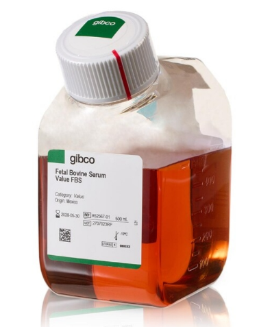 为新质生产力发展注入科技动力——2024年赛默飞新品阵容揭晓