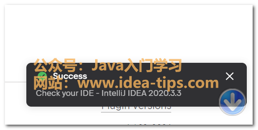 图片[5]-Intellij IDEA如何设置中文版？安装中文汉化包插件？失败问题解决！-编程算法牛翰社区-数据算法-牛翰网