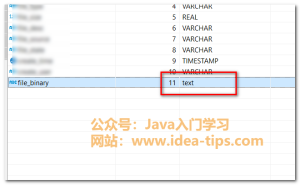 达梦数据库DM Exception字符串截断错误,略坑~-牛翰网