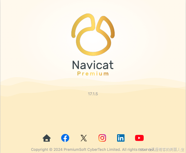 2024年11月Navicat Premium最新版(17.1.5) MacOS版免费下载-牛翰网
