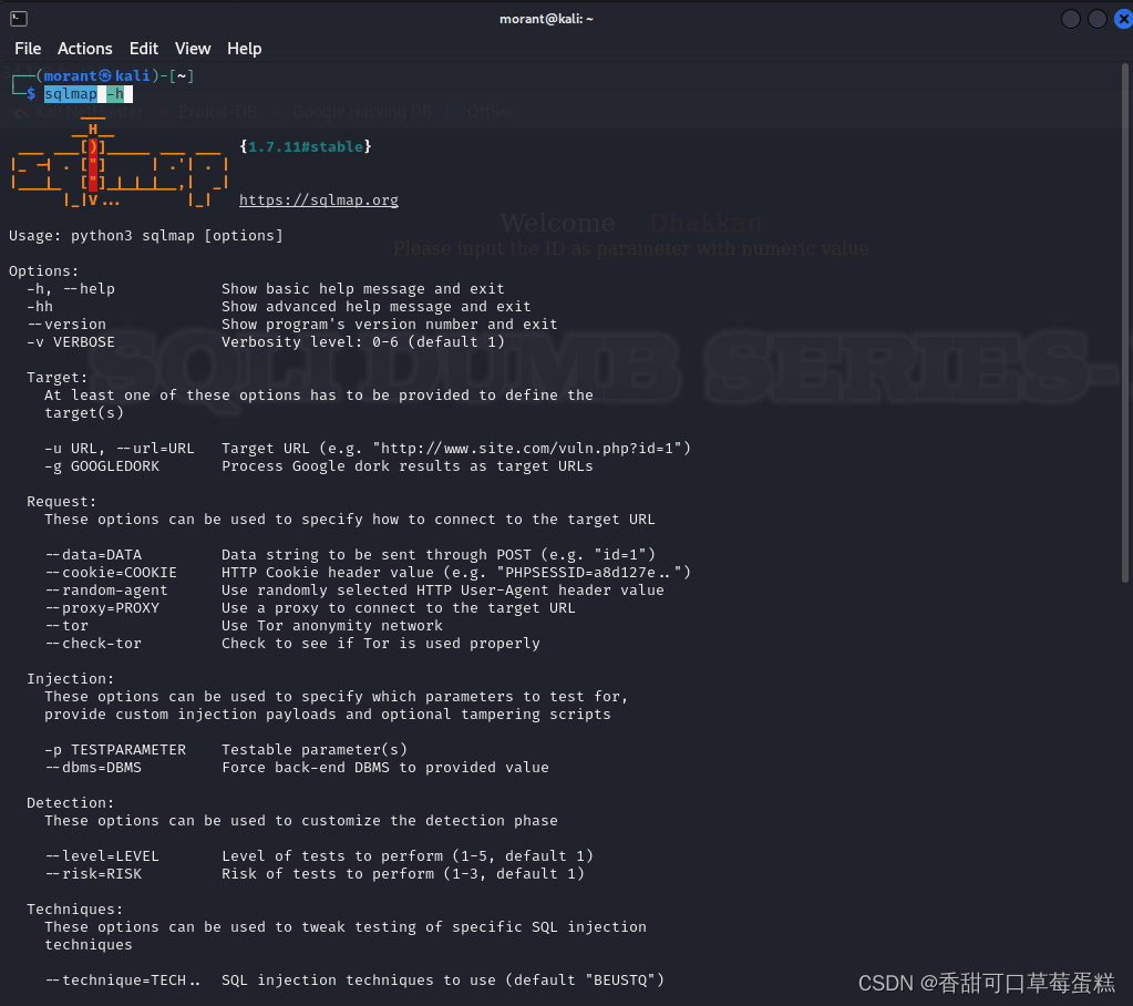 SQL注入神器SQLMap参数详解-牛翰网