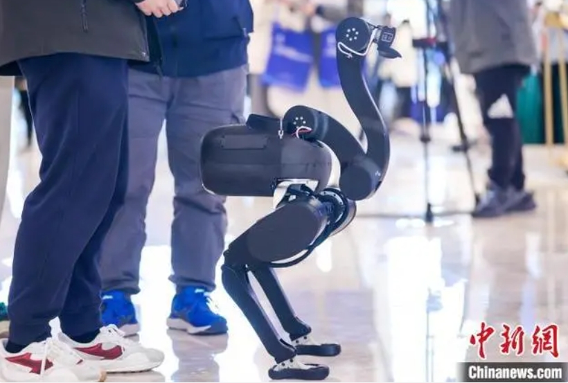 中关村仿生机器人大会在京举办 探讨前沿技术与商业落地