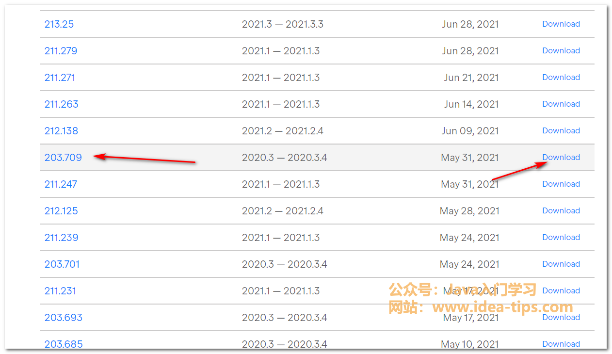 图片[9]-Intellij IDEA如何设置中文版？安装中文汉化包插件？失败问题解决！-编程算法牛翰社区-数据算法-牛翰网