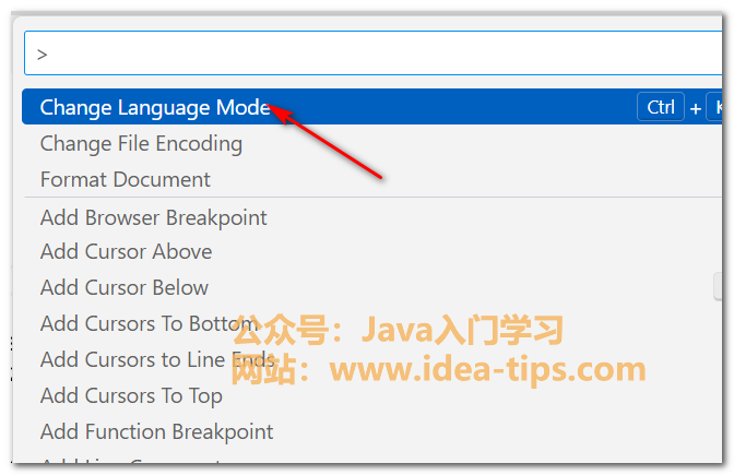 图片[2]-vscode如何更改文件语言模式为json格式-牛翰网