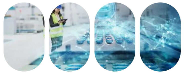 祝贺!西克荣获2024中国人力资源Venus大奖!