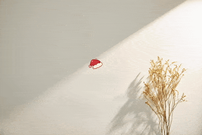 《老程序员的快乐刷题时代》题一：找单独的数-牛翰网