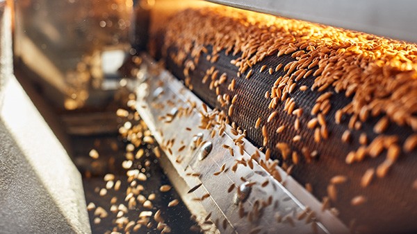 ABB即将发布M2QA-FB5电机,升级IE5能效构筑食品行业生产“防火墙”