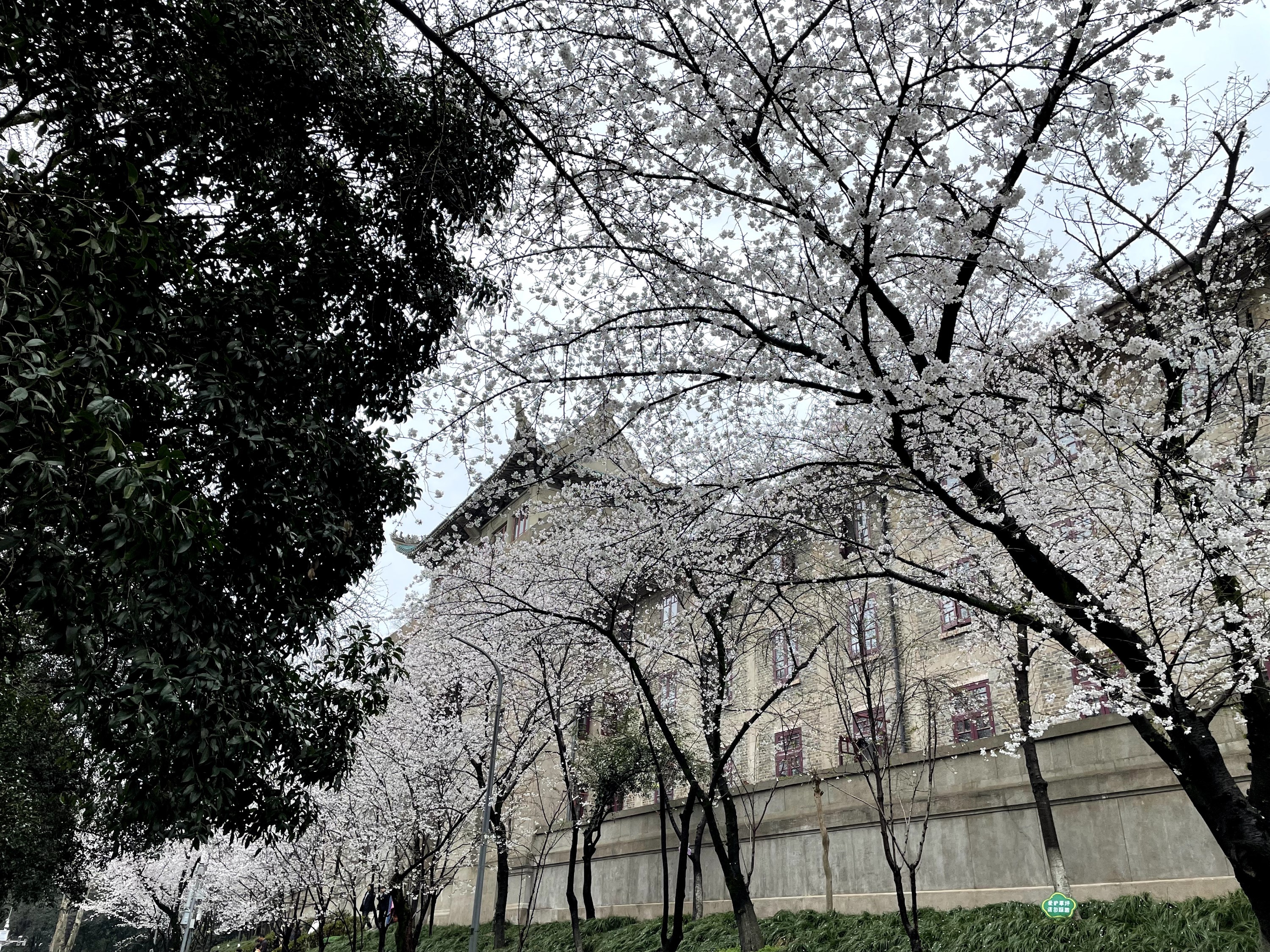 武汉大学智慧校园再添新成员,ABB数字化技术护航可持续发展