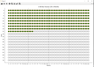 Python 代码实现生命之轮Wheel of life-牛翰网