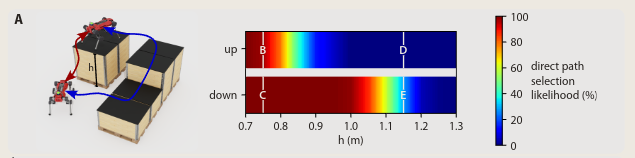 图片[6]-legged-robot关于locomotion、Navigation任务主要文章速览-编程算法牛翰社区-数据算法-牛翰网
