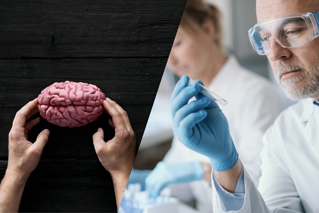 生成型AI应用的质量为何常常不尽人意，以及如何改进-牛翰网