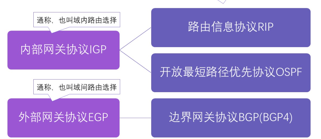 图片[10]-计算机网络复习网络层（第四章）-软件工程牛翰社区-编程开发-牛翰网