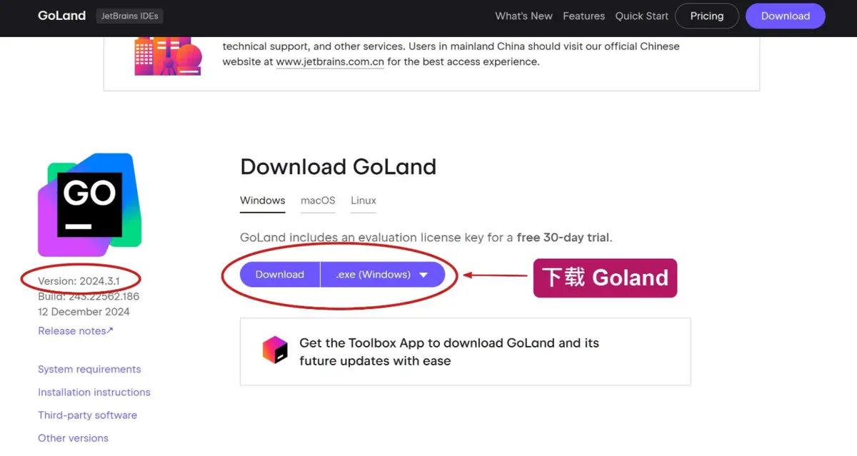 GoLand 2024.3.1 安装激活教程(激活至2026，实际上永久，亲测！)以及常见问题处理-伺服驱动牛翰社区-人工智能-牛翰网