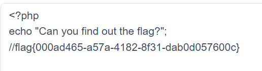 [ACTF2020 新生赛]Include 1-牛翰网