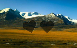 某滑块验证码识别思路(附完整代码)-牛翰网