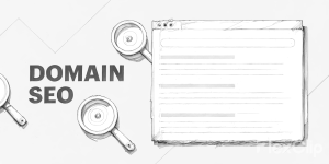 一步到位:购买适合 SEO 的域名全攻略-牛翰网