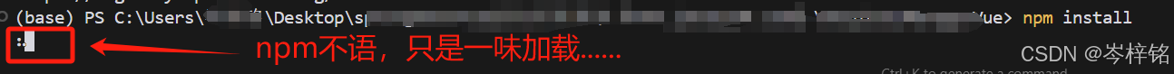 vue项目npm install失败的问题解决方案-牛翰网