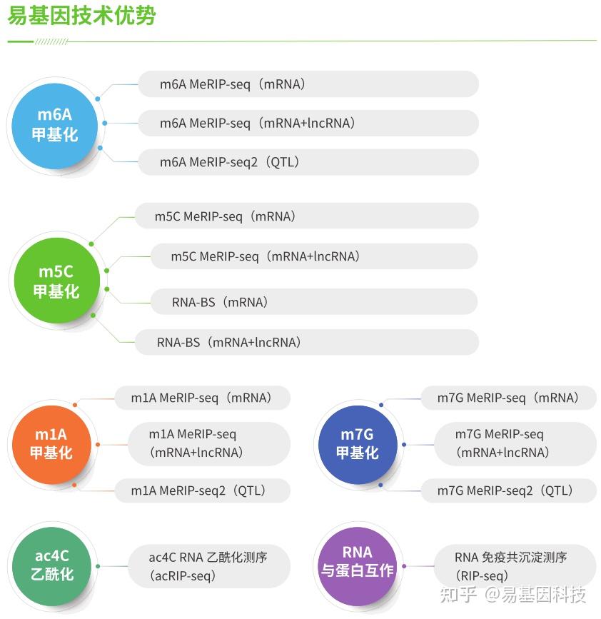 图片[1]-易基因：RNA甲基化修饰和R-loop的交叉调控：从分子机制到临床意义｜深度综述-牛翰网